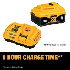 DEWALT 20-Volt MAX XR Premium Lithium-Ion 6.0Ah Battery Pack (2-Pack) -Power Tools Accessories Sales Shop dewalt outdoor power batteries chargers dcb206 2 c3 1000 1